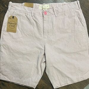Men's Pink Striped Flat Front Shorts
